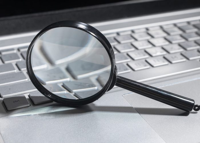 Magnify,Your,Online,Business,With,Keyword,Search.,Investigate,Data,,Find